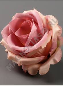 Роза Кружевная сатин 6сл 7см (мол бор гол перс роз-крем пеп-сир)