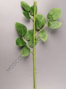 Стебель для розы 63см