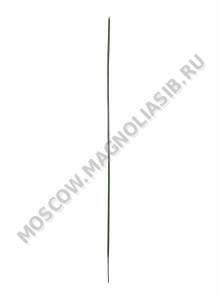Стебель без листа 43см