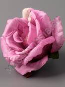 Роза Фиджи неткан 5 сл 10.5см (бел крас син борд крем перс сир)/К