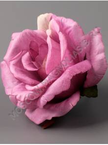 Роза Фиджи неткан 5 сл 10.5см (бел крас син борд крем перс сир)/К