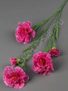 Ветка гвоздики крупной 62см (микс:бел крас оран б-сир б-роз роз жел фиол мал-роз)