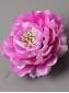 Пион махровый атласный 6сл 10.5см( роз сир бел-роз)
