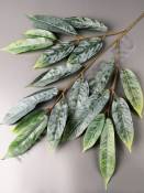 Ветка матовых листьев манго натуральная вощеная 70см
