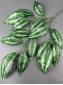 Ветка манго 3 ветки листьев со светлой серединкой 72см.