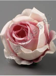 Роза Кружевная кустовая 6см сатин (мол крас крем роз-мол сир)