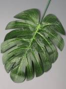 Лист монстеры натуральный глянцевый с прожилками 18/31см