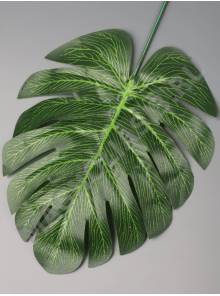 Лист монстеры натуральный глянцевый с прожилками 18/31см