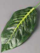 Лист фикуса крупнолистного с прожилками 20/37 см.