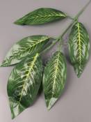 Ветка манго 5 листиков Зеленый Кощей 58см (листик 16-19см)