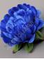 Пион бархатный 5сл 13см (бел крас син)