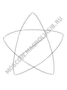 Каркас мет. Звезда (пров.3,8мм) выс.100см ш.100см