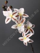 Венок Кекс большой Нежность