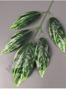 Ветка манго 5 листиков с бело-зелеными прожилками 57см (листик 16-19см)