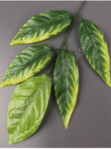 Москва Ветка манго 5 лист. молодая зелень 58см (листик 16-19см)