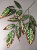 Ветка манго 3 ветки с коричневой кромкой 69см