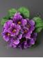 Букет фиалок малый 7гр 20см (микс)
