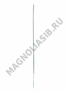 Стебель без листа 30 см