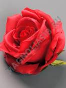 Роза флористическая с пенопластом 9 см (крас св-роз роз борд)