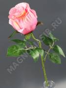 Букет хризантем игольчатых с кукурузой 15 групп 50 см*