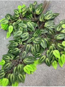  Ветка фикуса "Традесканция" 62см