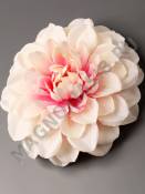 Георгин натуральный Айсберг 12см (бел крас-мал роз сир сливочн свет-роз мол-роз)