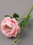 Ветка Камелии 47см (бел крас шамп св-роз сир гол)