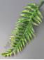 Лист папоротника лесного пластмас. 20см (бел-зел зел)