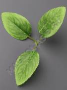 Лист тройной светло-зеленый с прожилками 18 см.