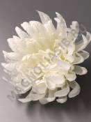 Хризантема Паук неткан. 9сл 20см (бел крас роз сир борд персик)