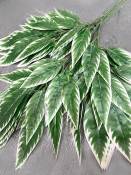 Ветка Манго 3 ветки лист с белой кромкой Эконом 70см.