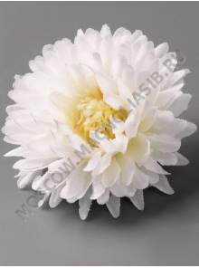 Хризантема кустовая хлопок 6сл 7см (бел борд гол крем желт пеп-сир)
